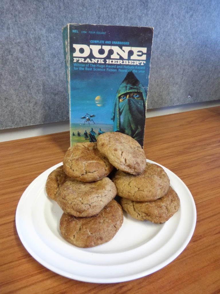 Dune cinnamon spice cookies in front of blue book
